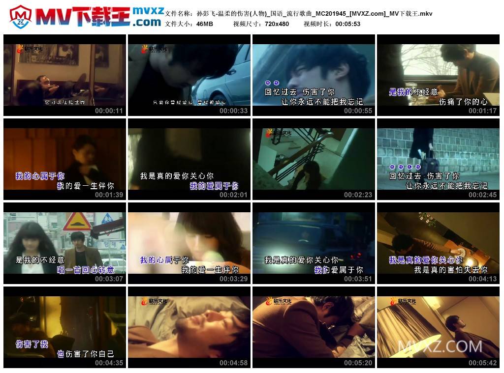 孙彭飞-温柔的伤害(人物)_国语_流行歌曲_MC201945